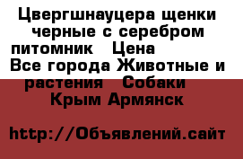 Цвергшнауцера щенки черные с серебром питомник › Цена ­ 30 000 - Все города Животные и растения » Собаки   . Крым,Армянск